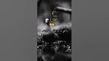 القارئ حمزة بوديب أذكار الصباح اللهم حفظني من عيني تراقبني بسوء بصوت خاشع القلب والروح 