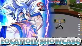 DIVINATION SPIRIT LOCATION/SHOWCASE SHINDO LIFE REAL