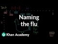Naming the flu: H-something, N-something | Infectious diseases | Health &amp; Medicine | Khan Academy