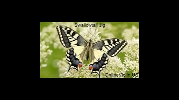 Thumbnail of Swallowtail Jig ~ Online Violin Lessons