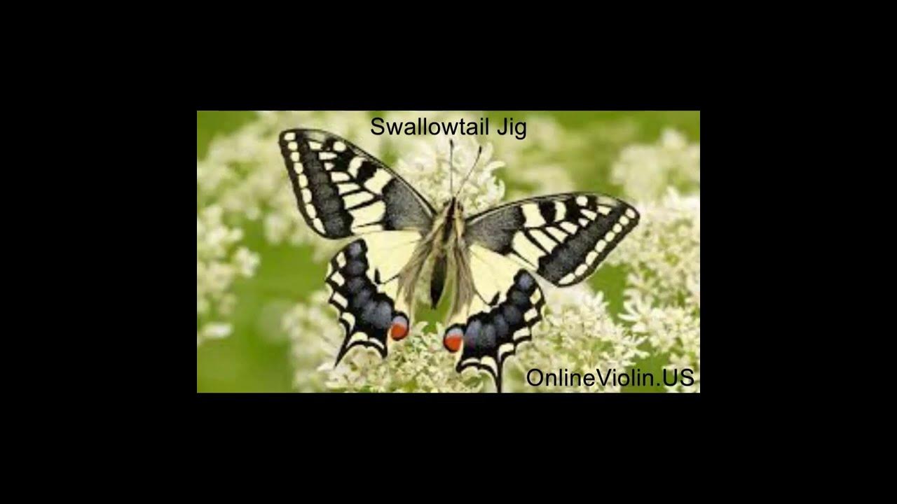 Swallowtail Jig ~ Online Violin Lessons