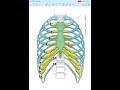 YouTube knowledge  #biology #csirnet #chemistry #unacademycsirlifescience #medicalbiochemistry #fun