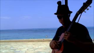 Video thumbnail of "Endless Summer Theme"