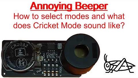 Annoying Beeper - Hidden Electronic Beeper/Cricket Prank