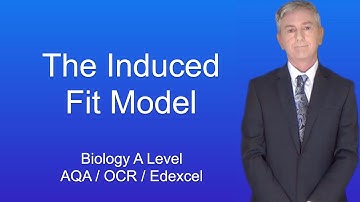 A-Level Biologie Herhaling "Het geïnduceerde fitmodel van enzymwerking"