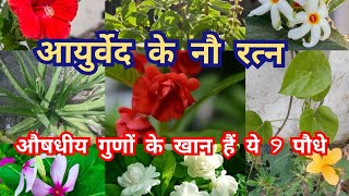 These 9 plants are full of medicinal properties / medicinal plants / Ayurvedic plants / ayurvedic... screenshot 3