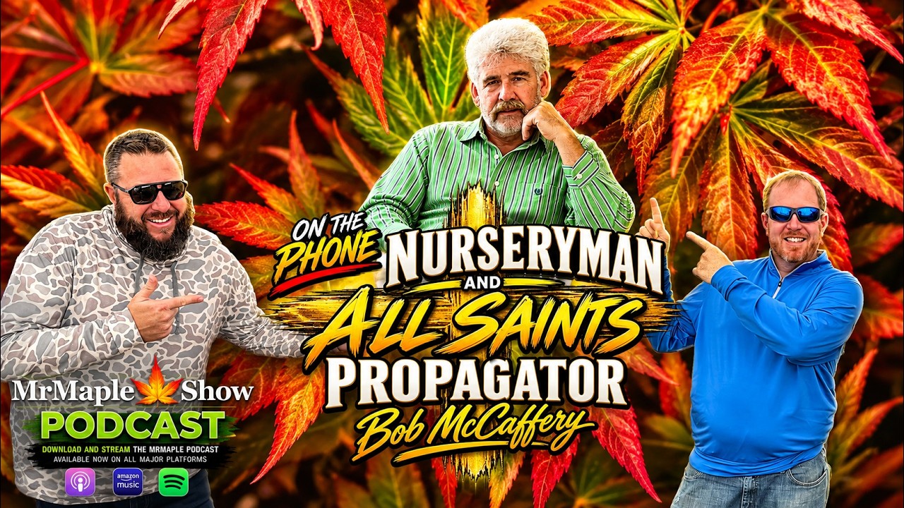 Japanese Maple Nurseryman and All Saints Propagator Bob McCaffery
