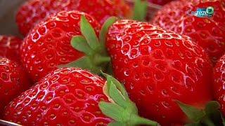 25ème fête de la fraise