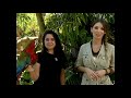 Planeta Feroz - Capsule 3: Macaw (2015)