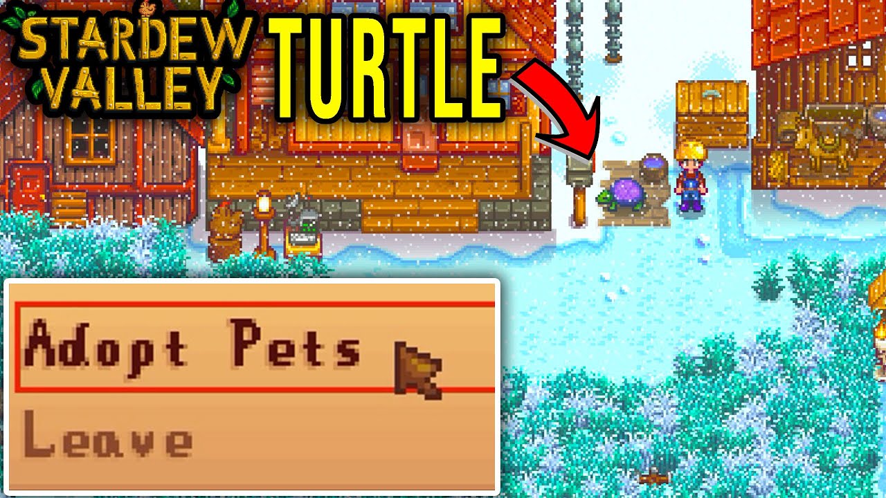 SECOND PET TURTLE HOW TO ADOPT Stardew Valley YouTube SECOND PET TURTLE HOW TO ADOPT Stardew Valley YouTube