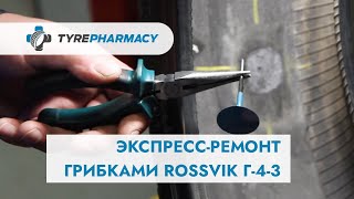 видео: Экспресс ремонт шины грибками Г-4-3 (ROSSVIK) картинка: Экспресс ремонт шины грибками Г-4-3 (ROSSVIK)