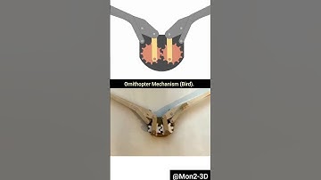 Ornithopter Mechanism #Mechanism  #solidworks #3ddesign #cad #shorts #gear ⚙️