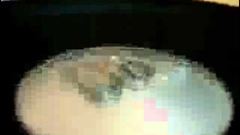 12vdb.com - car audio database: JBL Gto12.3