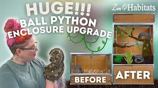HUGE Snake Enclosure Upgrade For Our Ball Python! | Zen Habitats