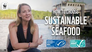 How to choose sustainable seafood 🐟 | WWF-Australia screenshot 1