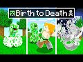 Baby Shark - BIRTH to DEATH of a Minecraft Creeper!