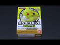 ポケモンキッズ 夢に向かってゴー！編　ピカチュウ&ワンパチ【Pokemon KIDS】