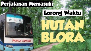 Perjalanan MASUK ke DUNIA LAIN mengikuti Bus Pahala Kencana yang HILANG di HUTAN JATI BLORA Todanan