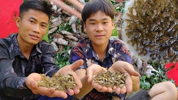 Gỏi Ấu Trùng Chuồn Chuồn Sống món ăn Kinh Dị Tây Bắc. Nhịp Sống Tây Bắc | Trai Rừng TV