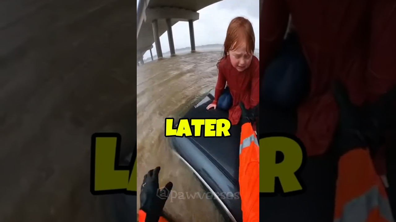 🚨POV: Panda Rescue Gone Wrong... I Almost Didn't Make It Out. 🐼😱 