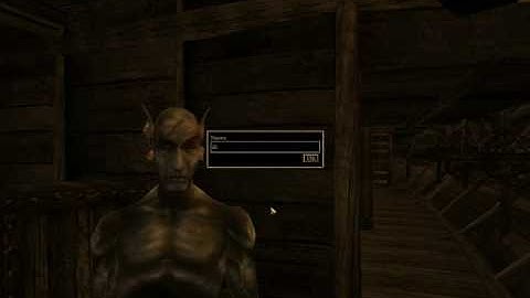 Morrowind shorts-Wake up call!