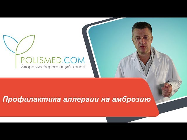 Профилактика аллергии на амброзию. Куда уехать от аллергии на амброзию. Борьба с амброзией