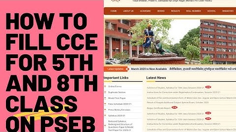 How to fill CCE for 5th class session 2020 21