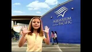PBS Kids Program Break (2008 KCET)