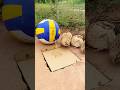 Invent the best underground bird trap #shorts