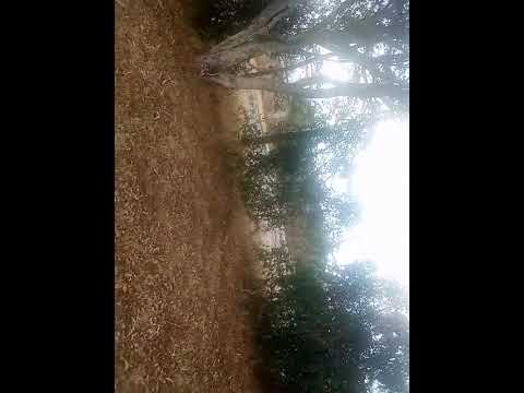 A Walk Around Machakos DICECE MercyNguku The World Traveller Ourafricanvillagehomekatutu