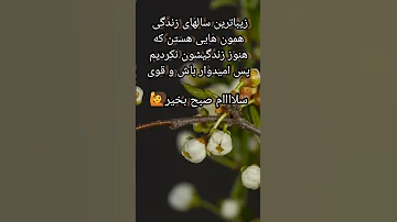 سلام صبح بخیر 