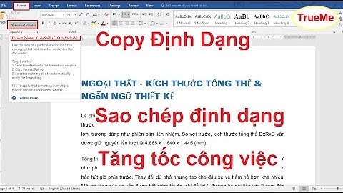 Copy giữ nguyên định định dạng trong WORD 2016, 2013, 2010, 2007 bằng công cụ Format Painter