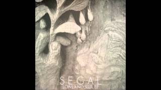 Segal - First District