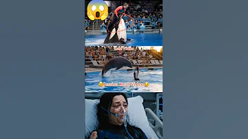 جيسيكا الدولفين الحقيقي تظهر Jessica Dolphin Real Appears 