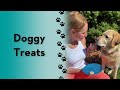 How to make frozen dog treats dogs howto diy labrador shorts