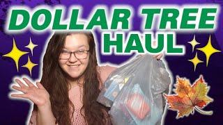 Dollar Tree Haul! Fun new finds! #dollartree #dollartreehaul #beauty #diamondpainting #hobbies @JambolinasWorld