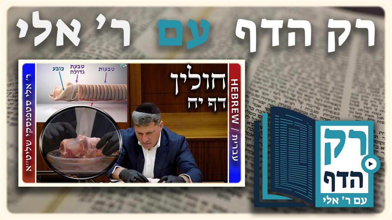 חזרה - חולין דף יח | "רק הדף" עם ר' אלי סטפנסקי