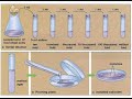 Serial dilutions and pour plate technique