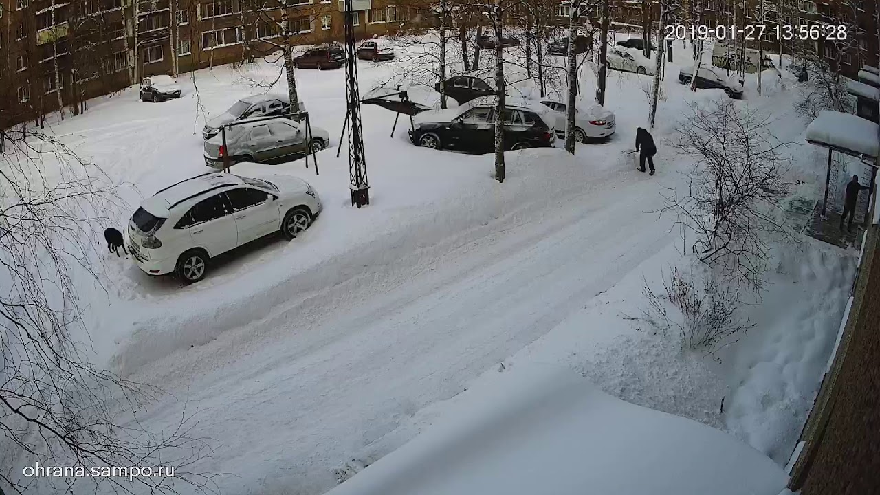 Камеры мой дом охрана сампо. Дворовые Сампо камеры. Охрана Сампо ру. Сампо ру. Сампо камеры Петрозаводск