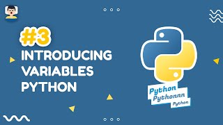 3# Python Variables Tutorial