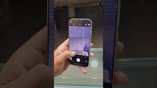 Xiaomi 17 Pro Max vs Everyone Else - Best Vlogging Phone of 2026? Xiaomi
