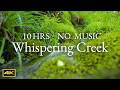 Whispers of a Mossy Creek ❘ Subtle ASMR Water Sounds ❘ Sleeping Aid ❘ 10HRS