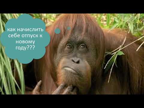 Про начисление отпускных