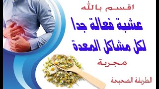 عشبة فعالة لكل مشاكل المعدة||مجربة