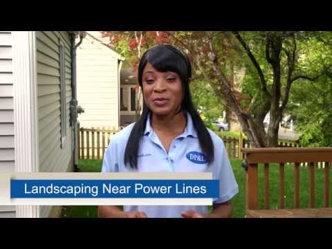 Right Tree, Right Place: Tree planting and landscaping tips from DP&L