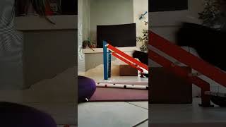 Me And My Sister Training My