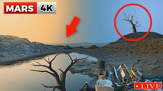 Mars 360° 4K Footage by Perseverance Rover & Curiosity Rover – You’ve Never Seen Mars Like This