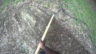 Greenhorn Garden Update| New Channel!
