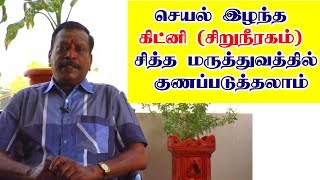 சயல இழநத சறநரகதத சரகக To Regulate Kidney Failure