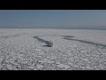 海原に白銀、うろこ模様 冬の使者流氷、北海道
